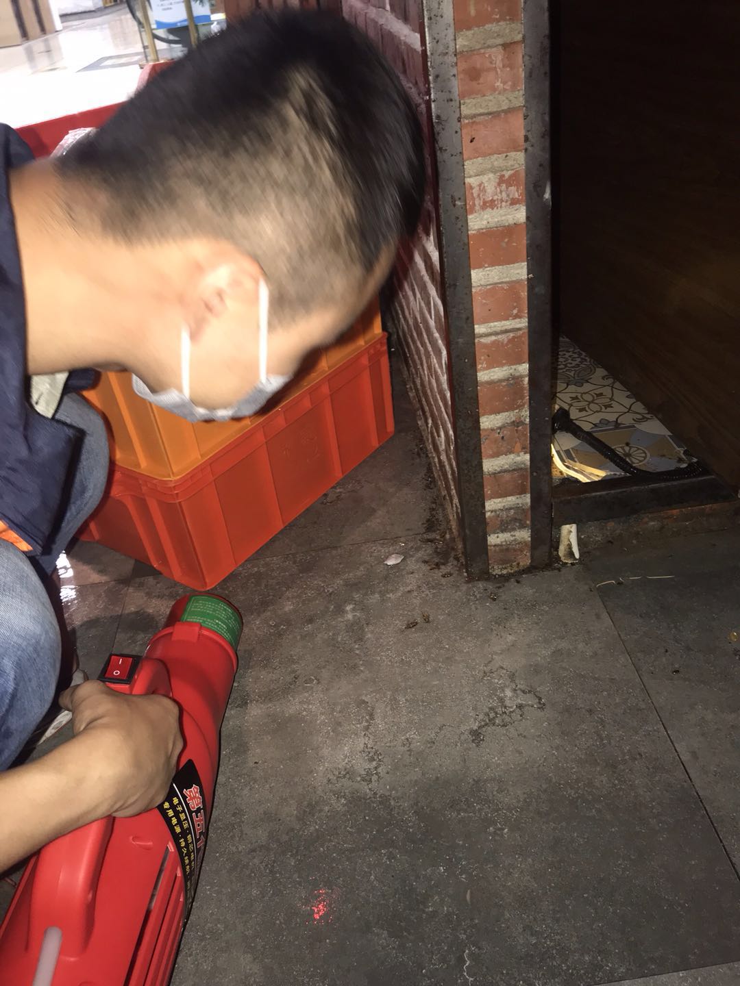 深圳怎么灭杀蟑螂