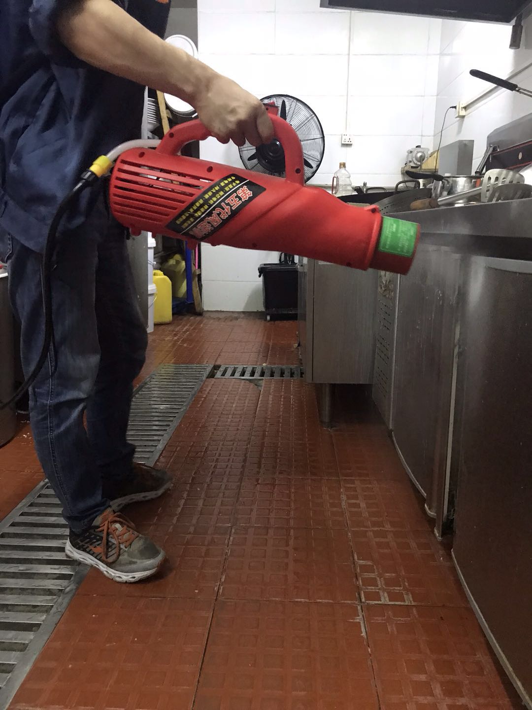 深圳专业灭白蚁服务