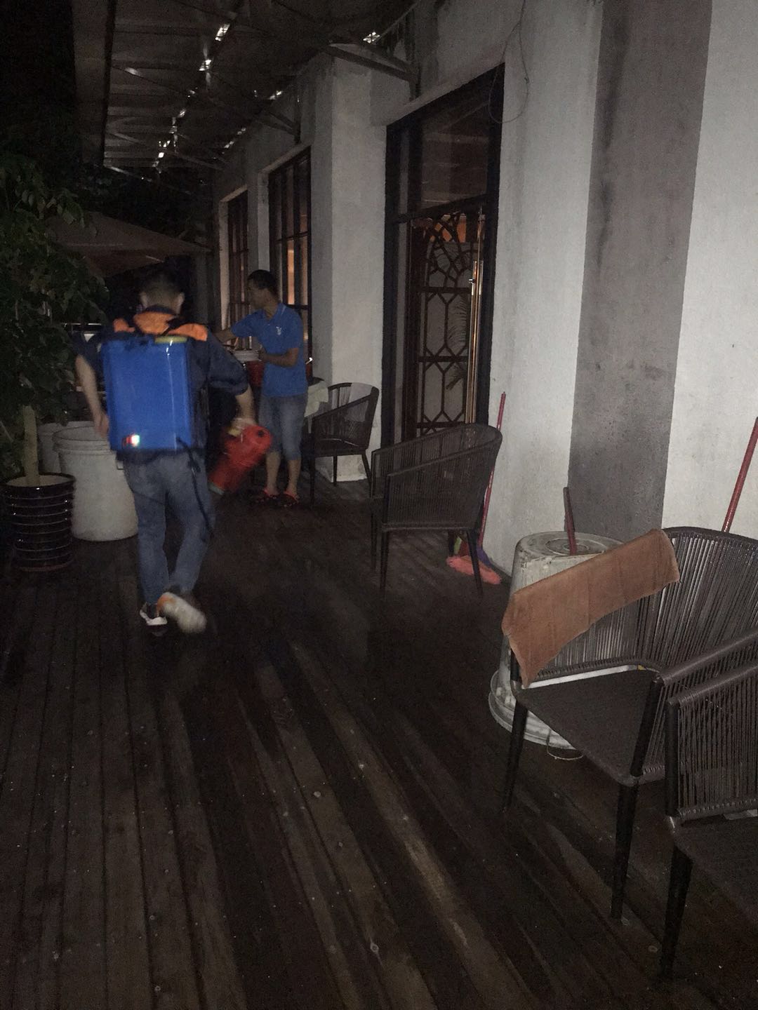 深圳怎么有效的灭白蚁