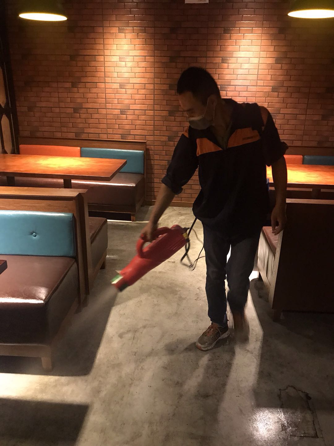 深圳怎么样消灭白蚁
