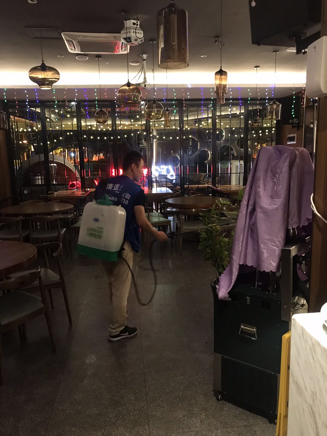 深圳用什么消灭白蚁