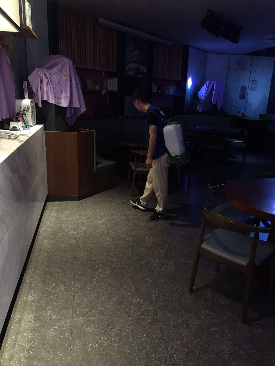 深圳怎么杀灭白蚁