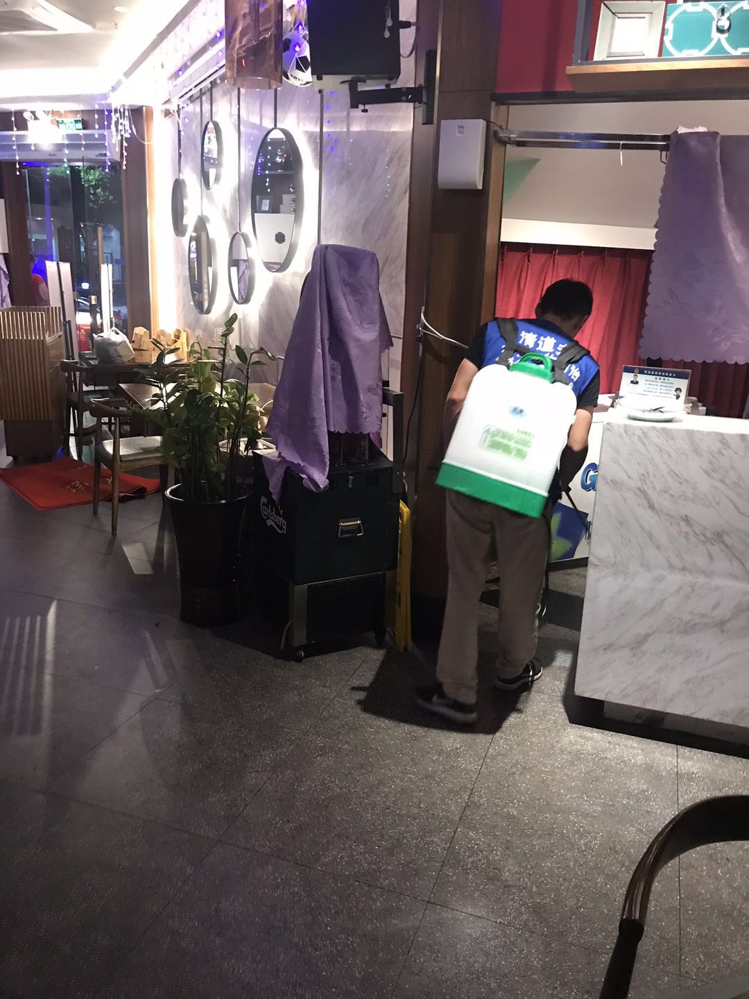 深圳什么方法灭白蚁**