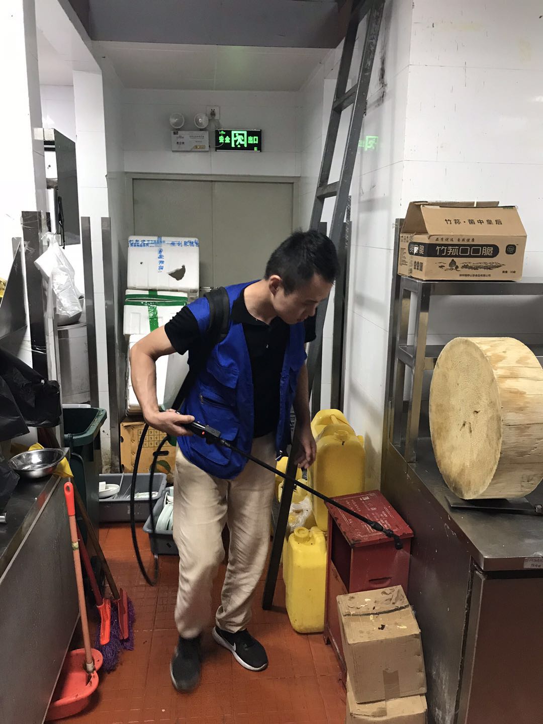 深圳消灭白蚁的方法