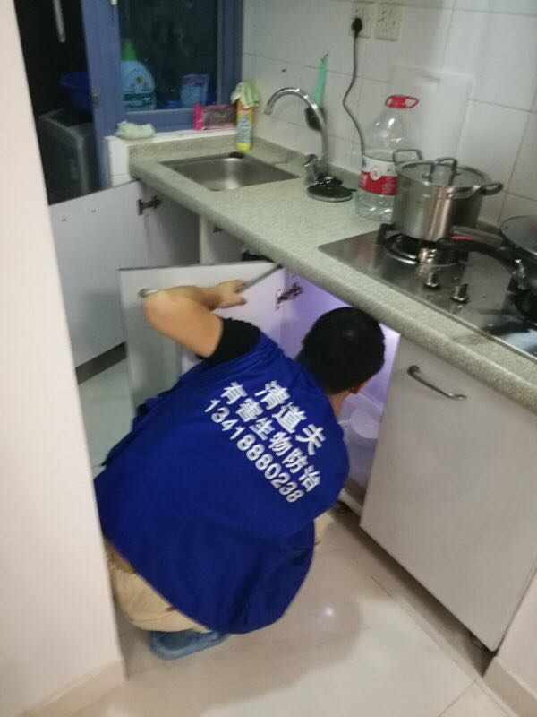 深圳什么方法灭白蚁**