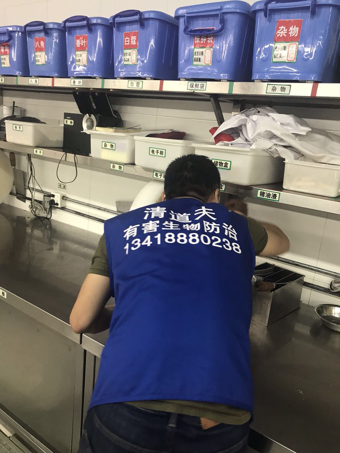深圳怎么样消灭白蚁
