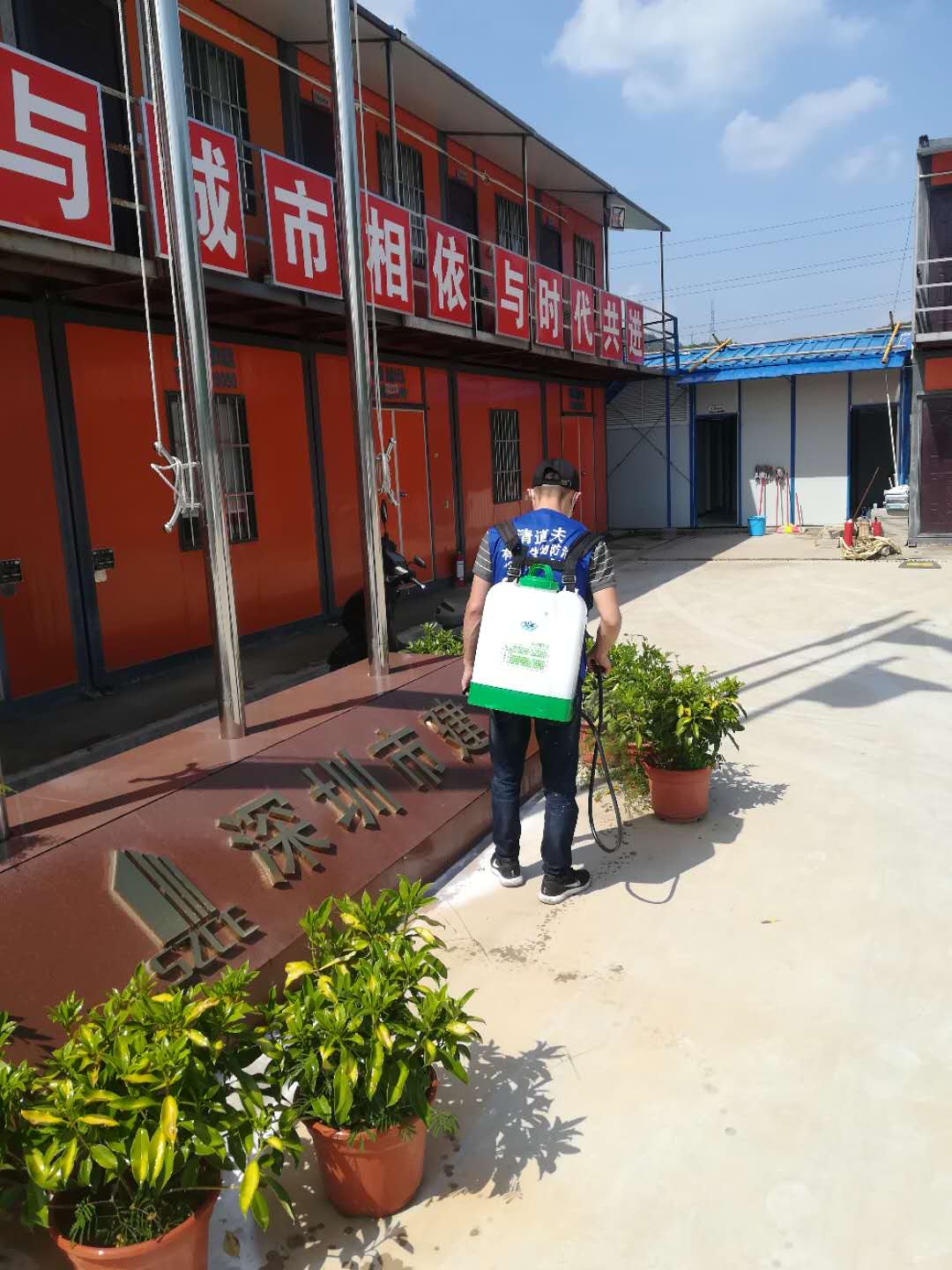 深圳治杀白蚁