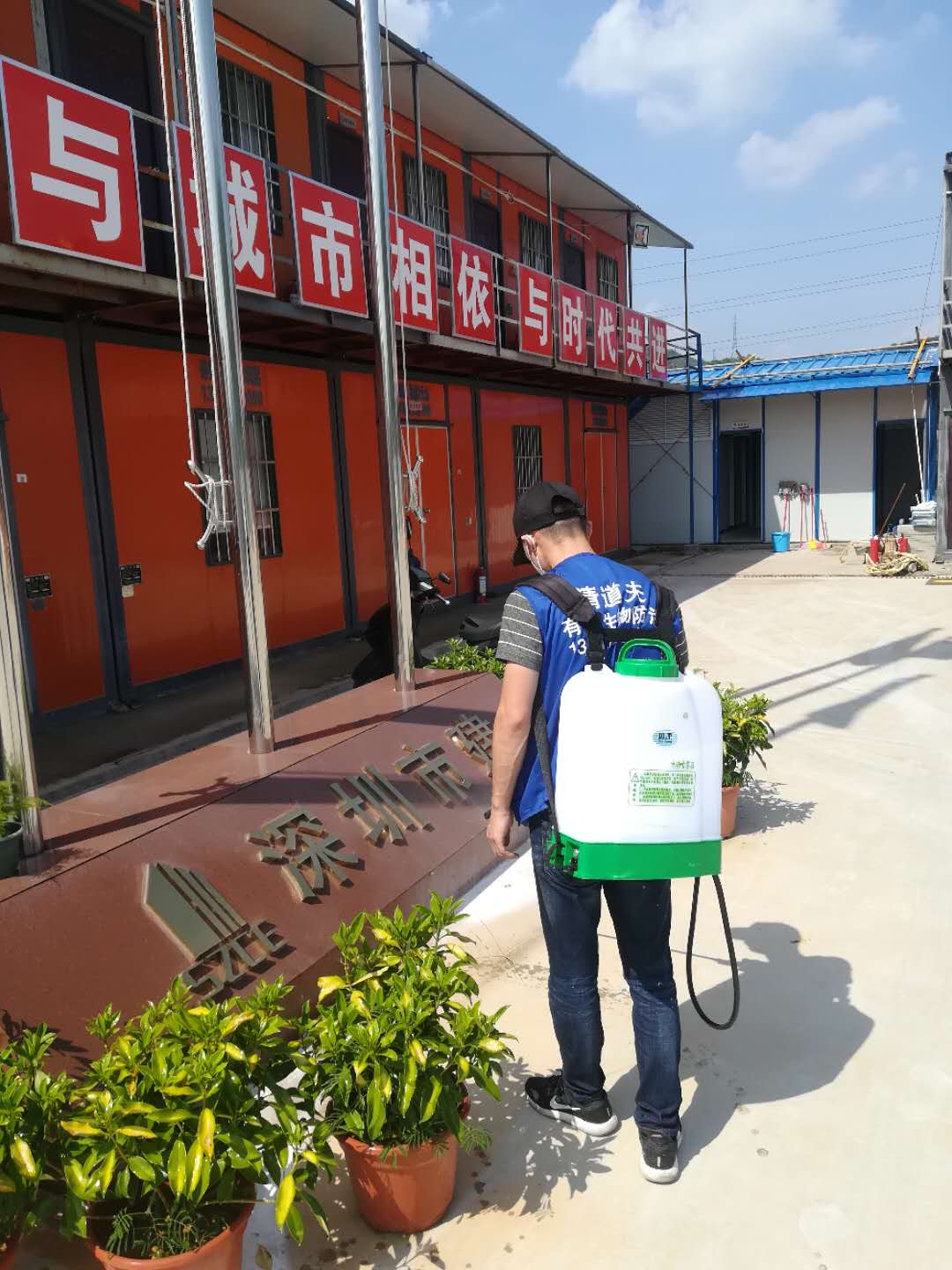 深圳怎样灭臭虫