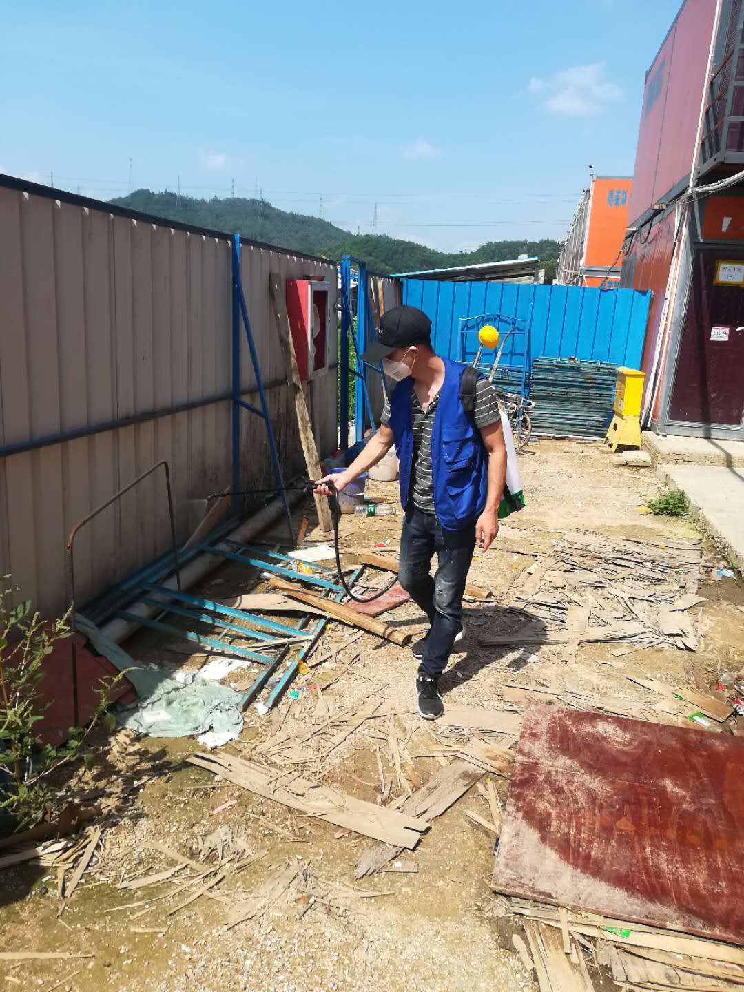 深圳怎么样灭杀白蚁