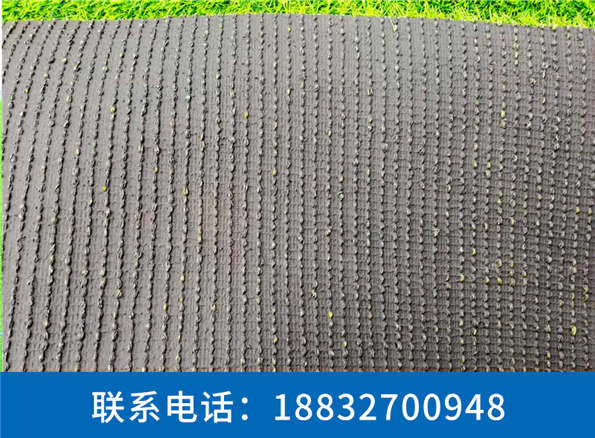 假草坪价格厂家直销东营
